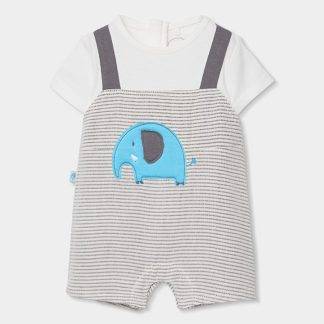 Boboli suvekombe Elevant